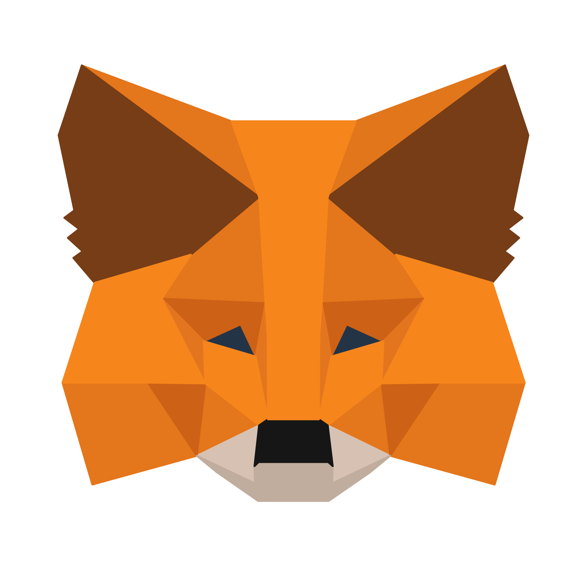 Metamask icon